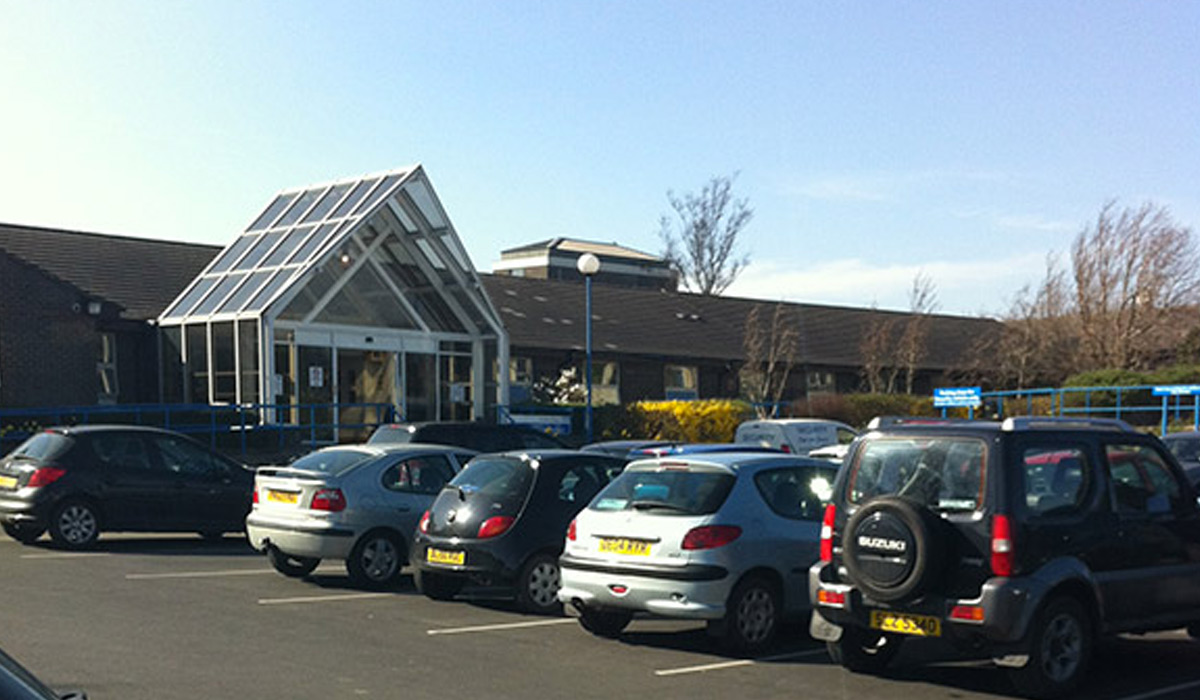 Lynfield Mount Nursery, Daisy Hill